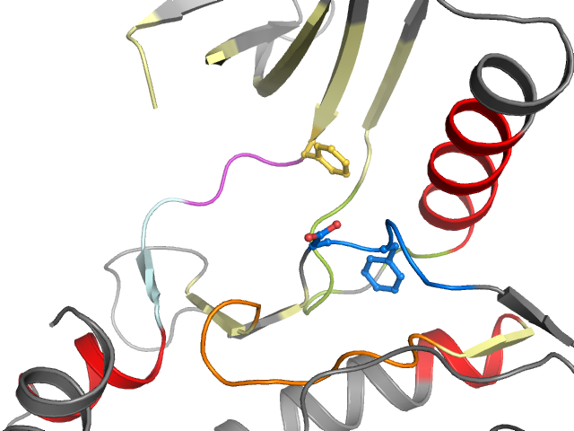 The orthosteric binding pocket