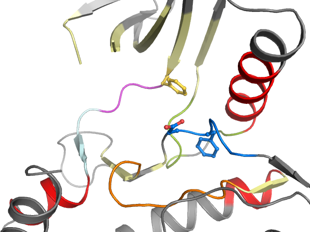 The orthosteric binding pocket