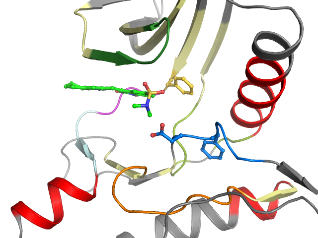 The orthosteric binding pocket