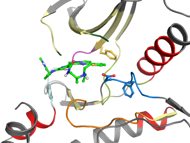The orthosteric binding pocket