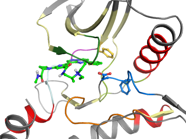 The orthosteric binding pocket