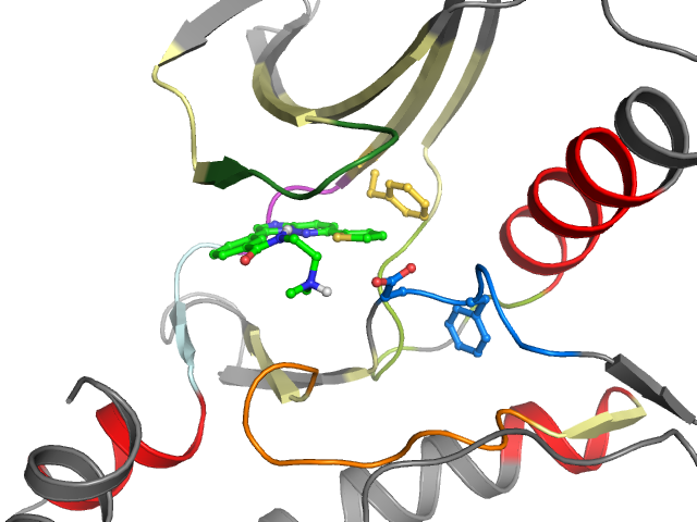 The orthosteric binding pocket