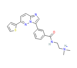 2D structure of the orthosteric ligand