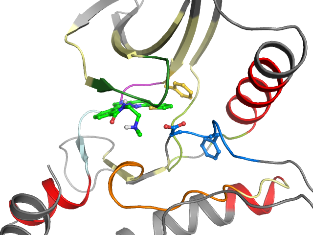 The orthosteric binding pocket