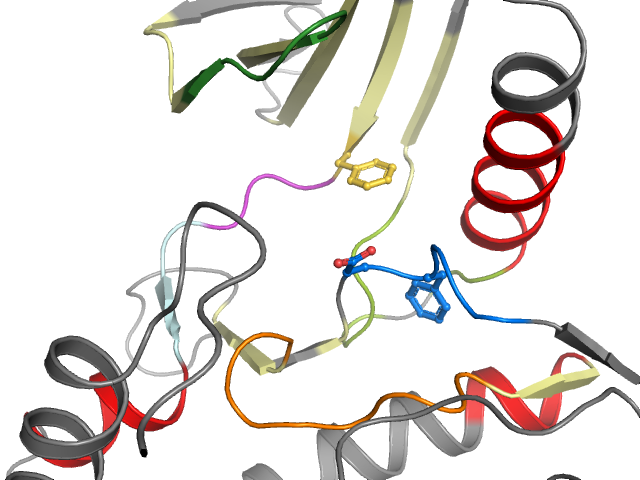 The orthosteric binding pocket