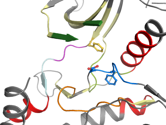 The orthosteric binding pocket