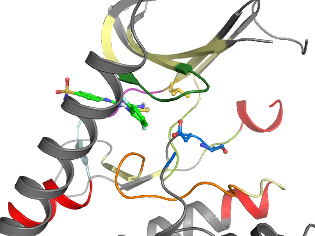 The orthosteric binding pocket