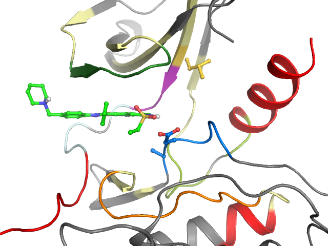 The orthosteric binding pocket