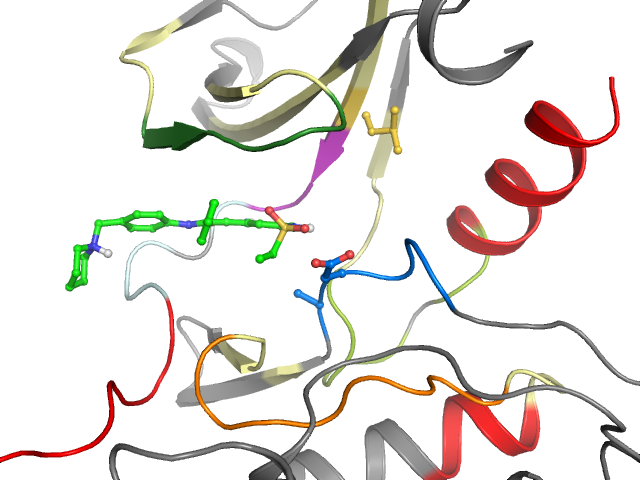 The orthosteric binding pocket