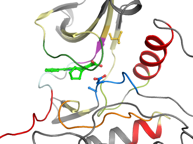 The orthosteric binding pocket