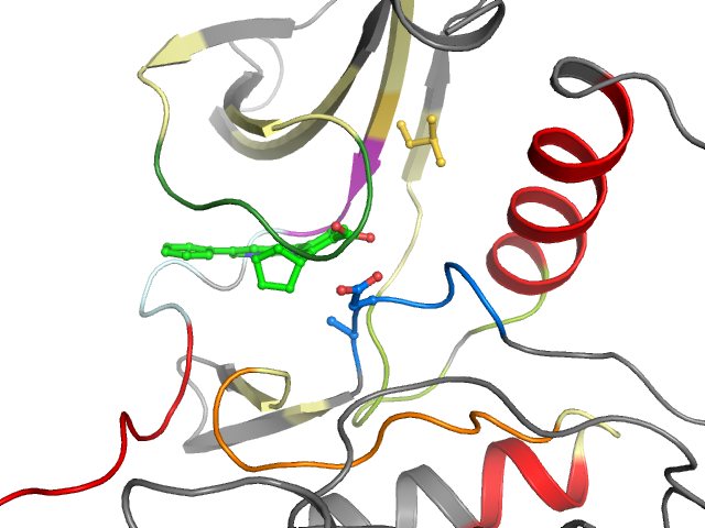 The orthosteric binding pocket