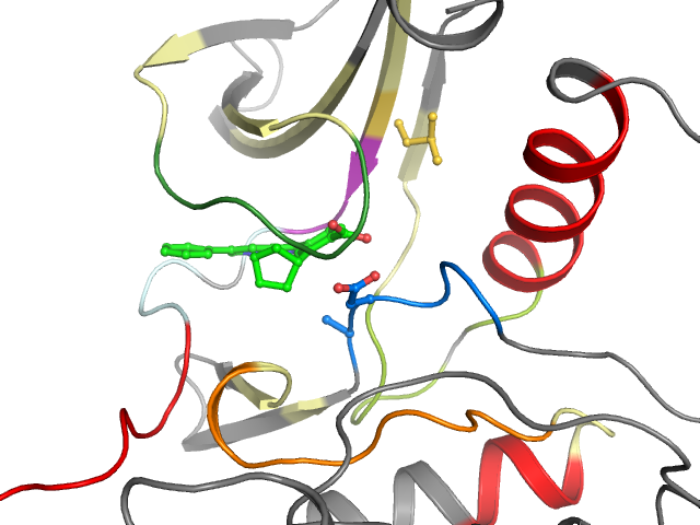 The orthosteric binding pocket