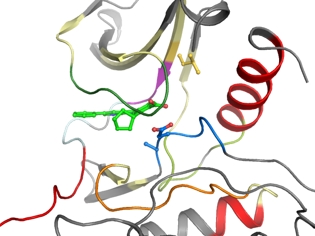 The orthosteric binding pocket