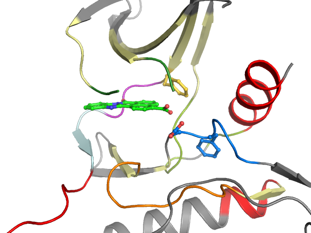 The orthosteric binding pocket