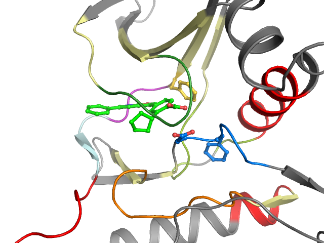 The orthosteric binding pocket