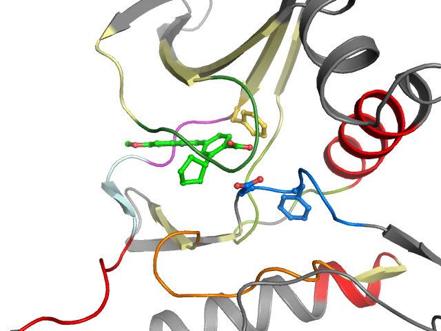 The orthosteric binding pocket