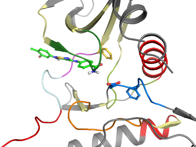 The orthosteric binding pocket