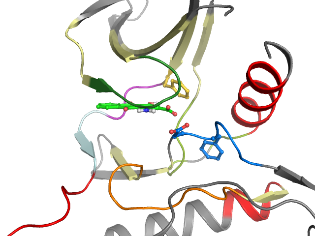 The orthosteric binding pocket