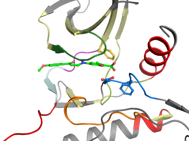 The orthosteric binding pocket