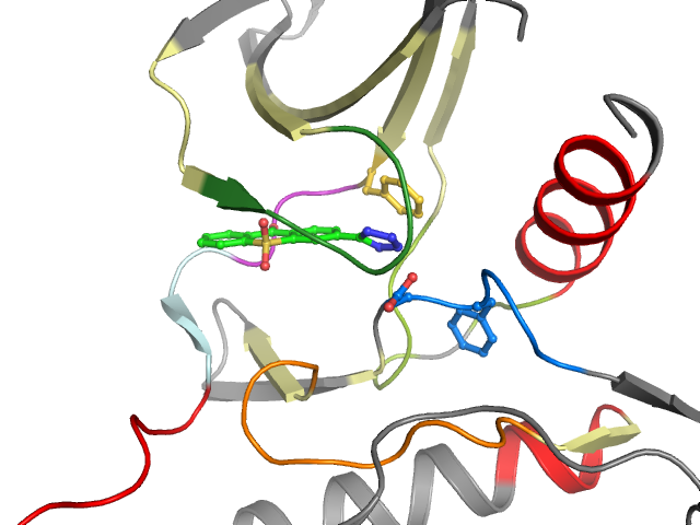 The orthosteric binding pocket