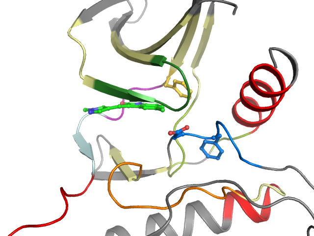 The orthosteric binding pocket