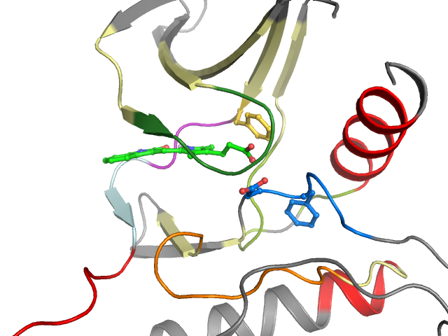 The orthosteric binding pocket
