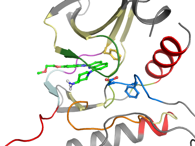 The orthosteric binding pocket