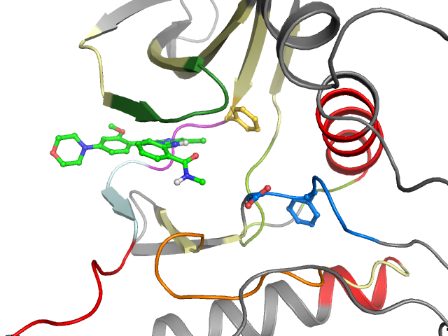 The orthosteric binding pocket