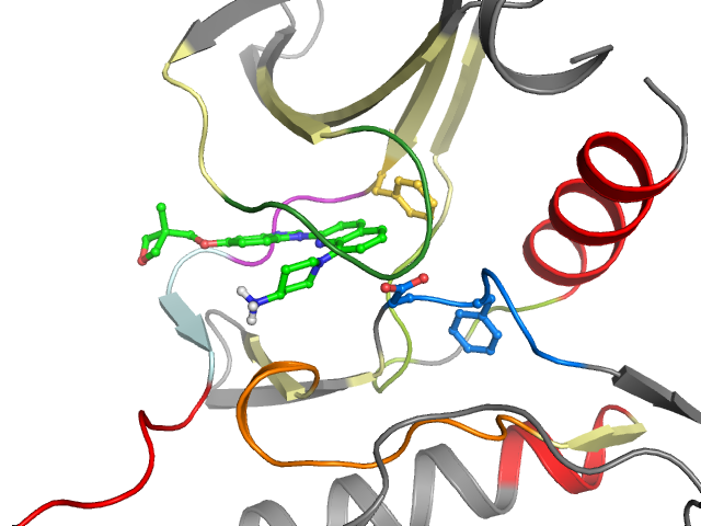 The orthosteric binding pocket