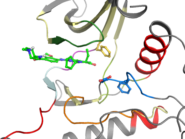 The orthosteric binding pocket