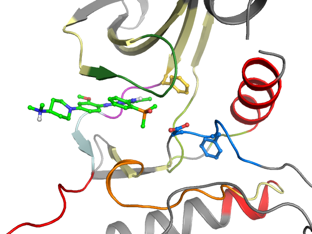 The orthosteric binding pocket