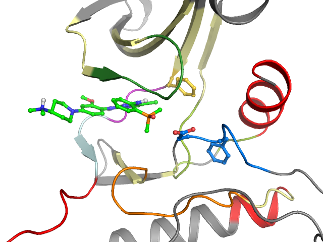 The orthosteric binding pocket
