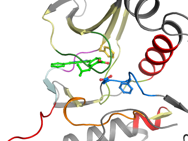 The orthosteric binding pocket