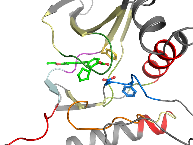 The orthosteric binding pocket
