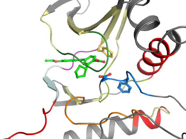 The orthosteric binding pocket