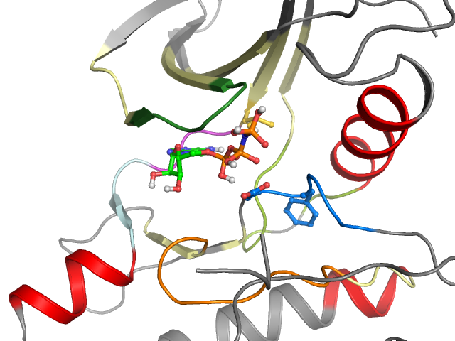 The orthosteric binding pocket