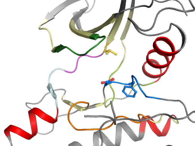 The orthosteric binding pocket