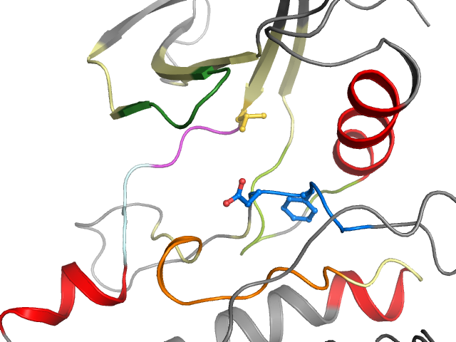 The orthosteric binding pocket