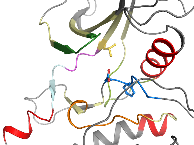 The orthosteric binding pocket