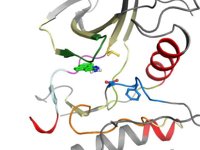 The orthosteric binding pocket