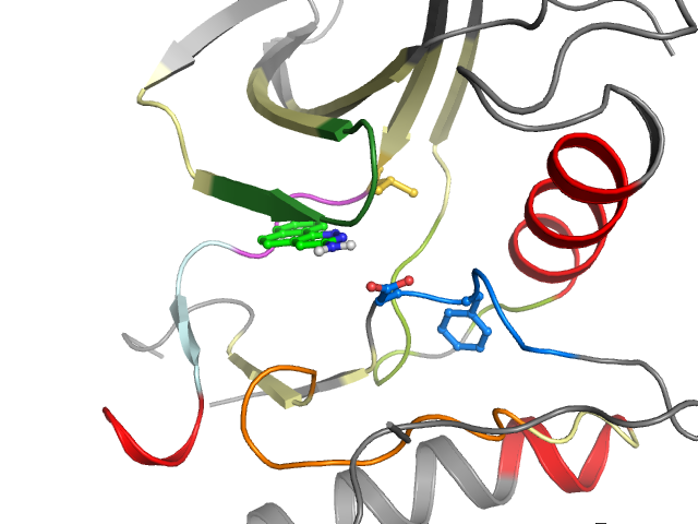 The orthosteric binding pocket