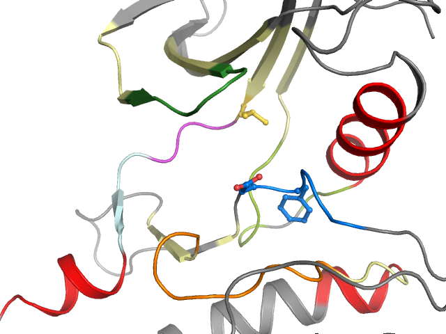 The orthosteric binding pocket