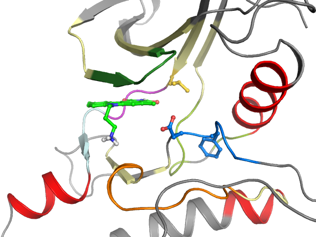 The orthosteric binding pocket