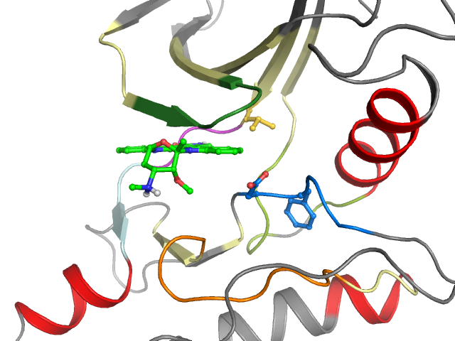 The orthosteric binding pocket