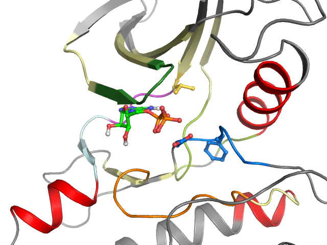 The orthosteric binding pocket