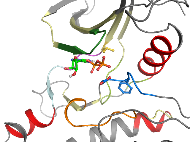 The orthosteric binding pocket