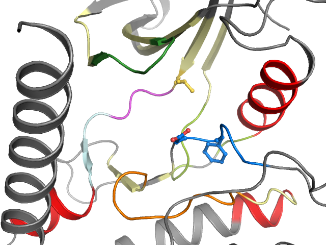 The orthosteric binding pocket