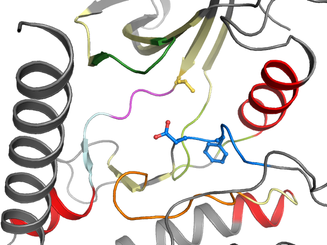 The orthosteric binding pocket