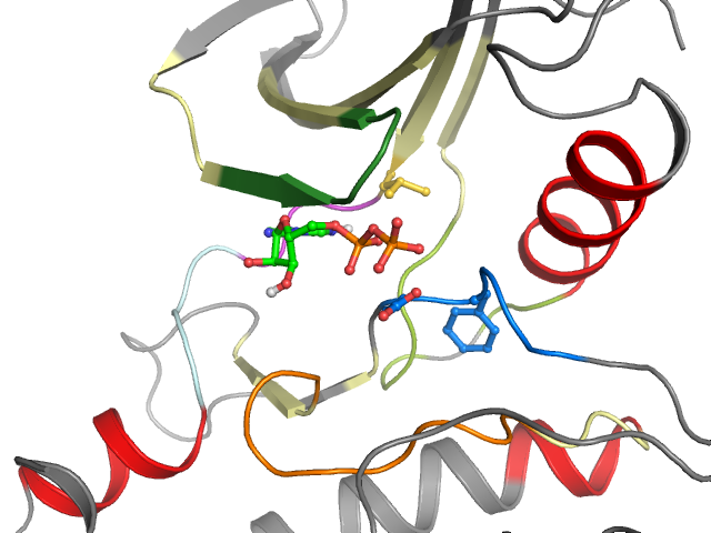 The orthosteric binding pocket