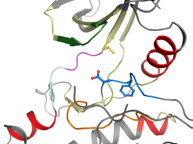 The orthosteric binding pocket
